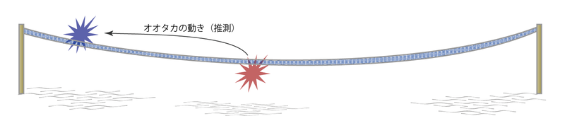 羅網事故 推定発生状況（横から）